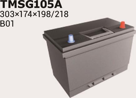 IPSA TMSG105A - Starter Battery autospares.lv