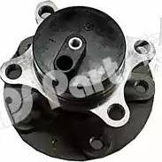 IPS Parts IUB-10839 - Wheel Hub autospares.lv