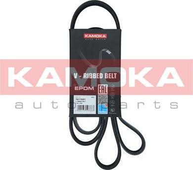 Kamoka 7017031 - V-Ribbed Belt autospares.lv