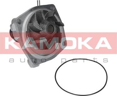 Kamoka T0006 - Water Pump autospares.lv