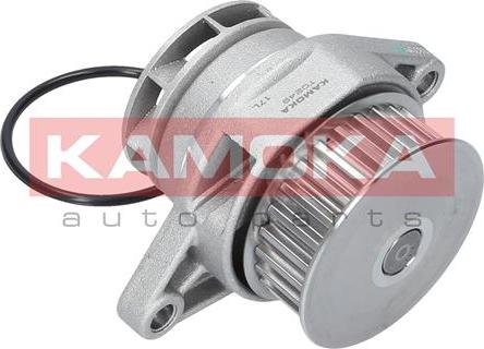 Kamoka T0249 - Water Pump autospares.lv