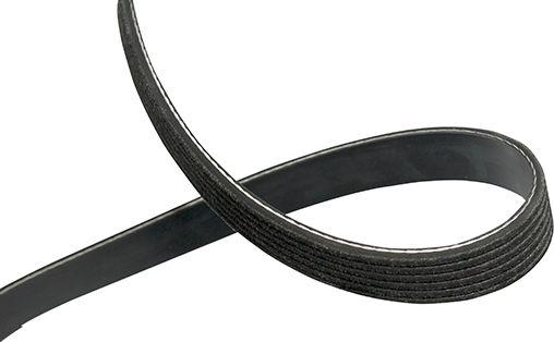 Kavo Parts DMV-5547 - V-Ribbed Belt autospares.lv