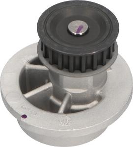 Kavo Parts DW-1002 - Water Pump autospares.lv