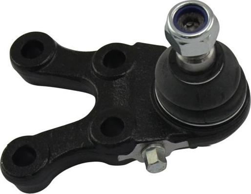 Kavo Parts SBJ-5506 - Ball Joint autospares.lv