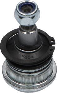 Kavo Parts SBJ-5501 - Ball Joint autospares.lv