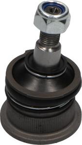 Kavo Parts SBJ-3011 - Ball Joint autospares.lv