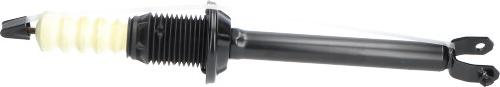 Kavo Parts SSA-10379 - Shock Absorber autospares.lv