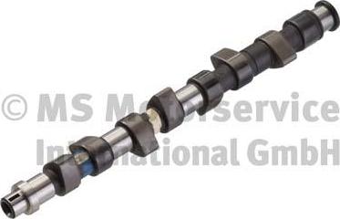 Kolbenschmidt 50006395 - Camshaft autospares.lv