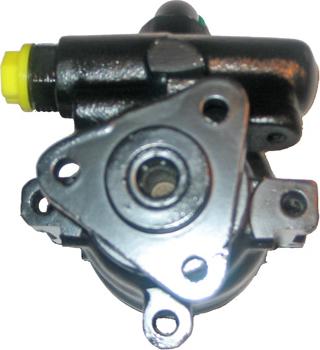 Lizarte 04.05.0305 - Hydraulic Pump, steering system autospares.lv