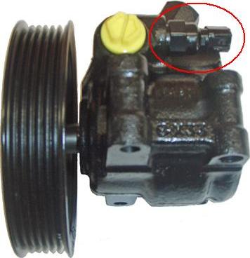 Lizarte 04.05.1145 - Hydraulic Pump, steering system autospares.lv