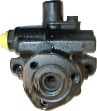 Lizarte 04.15.0010 - Hydraulic Pump, steering system autospares.lv