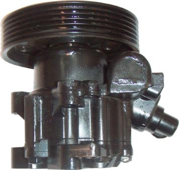 Lizarte 04.13.0042-6 - Hydraulic Pump, steering system autospares.lv