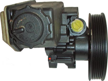 Lizarte 04.13.0075 - Hydraulic Pump, steering system autospares.lv