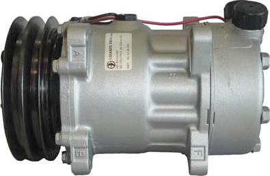 Lizarte 81.10.26.056 - Compressor, air conditioning autospares.lv