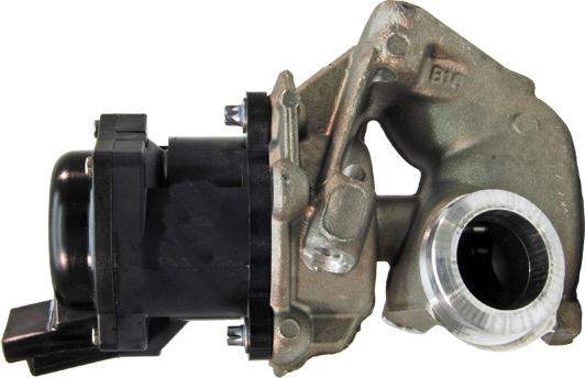 Lizarte EGR019 - EGR Valve autospares.lv