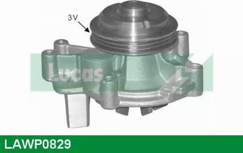 Lucas Engine Drive LAWP0829 - Water Pump autospares.lv