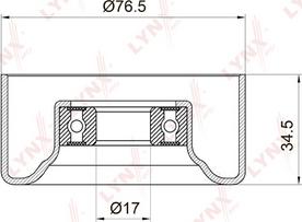 LYNXauto PB-5004 - Pulley, v-ribbed belt autospares.lv