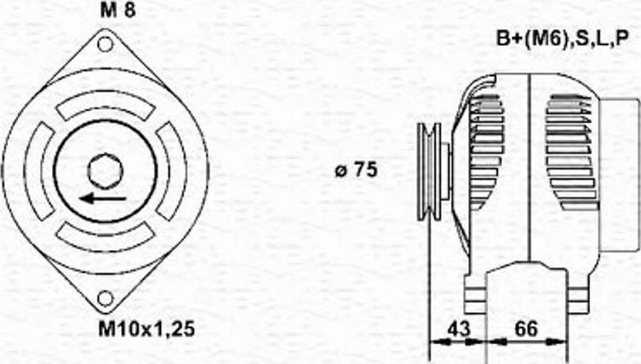 Magneti Marelli 943355172010 - Alternator autospares.lv