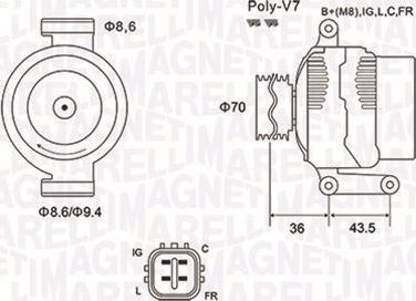 Magneti Marelli 063731980010 - Alternator autospares.lv