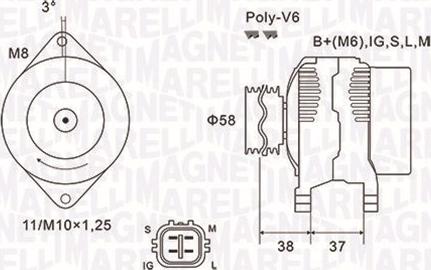 Magneti Marelli 063731889010 - Alternator autospares.lv