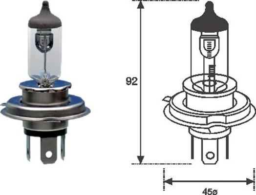 Magneti Marelli 002559100000 - Bulb, spotlight autospares.lv