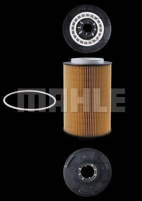 Magneti Marelli 154072350182 - Oil Filter autospares.lv