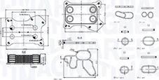 Magneti Marelli 350300001300 - Oil Cooler, engine oil autospares.lv