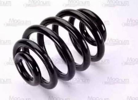 Magnum Technology SW078 - Coil Spring autospares.lv