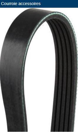 MGA CS51400 - V-Ribbed Belt autospares.lv