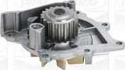 MGA PA1049 - Water Pump autospares.lv