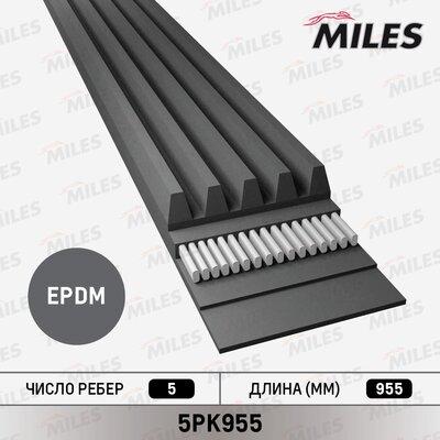 Miles 5PK955 - V-Ribbed Belt autospares.lv