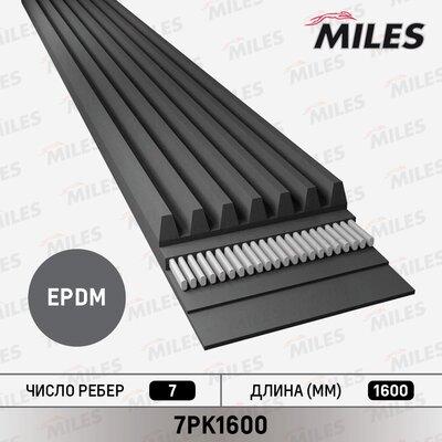 Miles 7PK1600 - V-Ribbed Belt autospares.lv