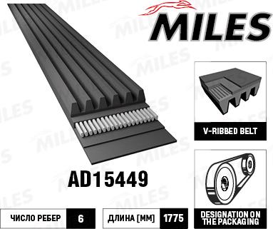 Miles AD15449 - V-Ribbed Belt autospares.lv