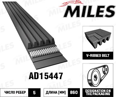 Miles AD15447 - V-Ribbed Belt autospares.lv
