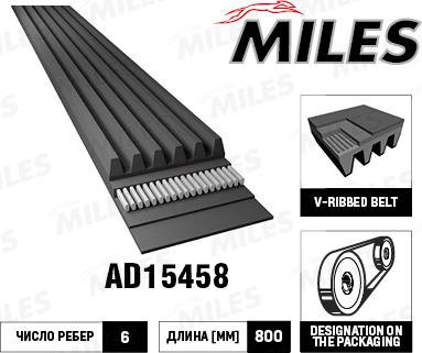 Miles AD15458 - V-Ribbed Belt autospares.lv