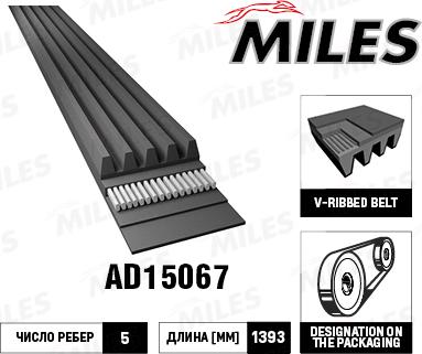 Miles AD15067 - V-Ribbed Belt autospares.lv