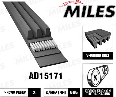 Miles AD15171 - V-Ribbed Belt autospares.lv