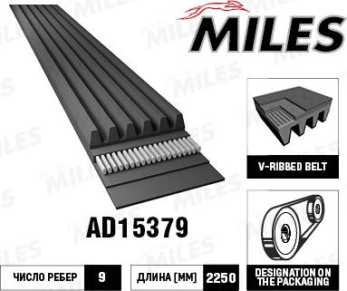 Miles AD15379 - V-Ribbed Belt autospares.lv
