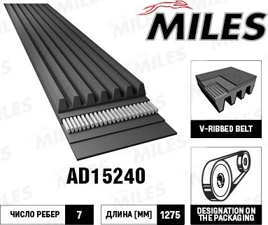 Miles AD15240 - V-Ribbed Belt autospares.lv