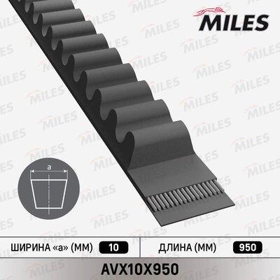 Miles AVX10X950 - V-Belt autospares.lv