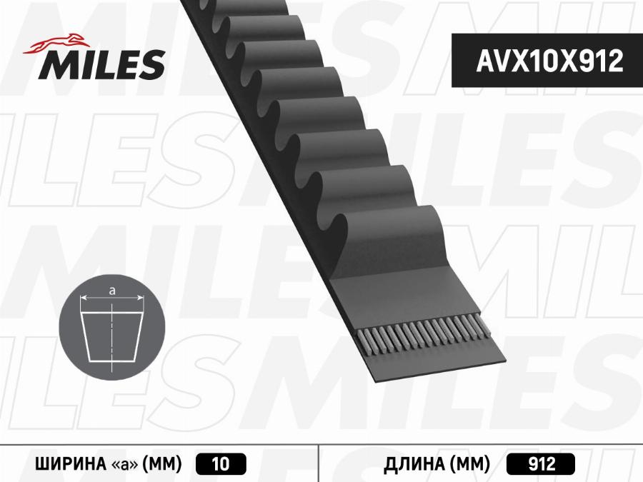 Miles AVX10X912 - V-Belt autospares.lv