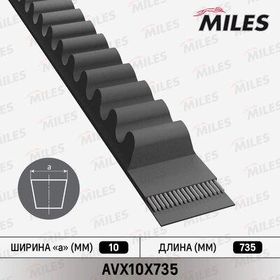 Miles AVX10X735 - V-Belt autospares.lv