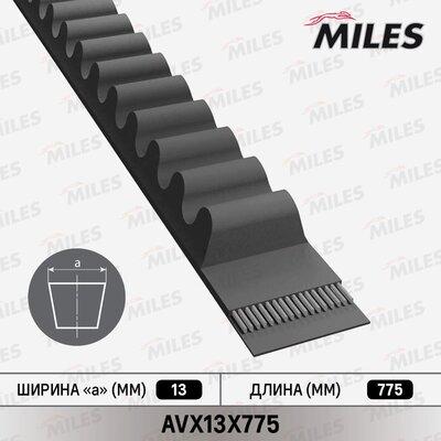 Miles AVX13X775 - V-Belt autospares.lv