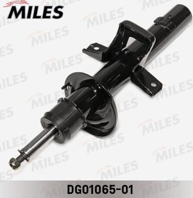 Miles DG01065-01 - Shock Absorber autospares.lv