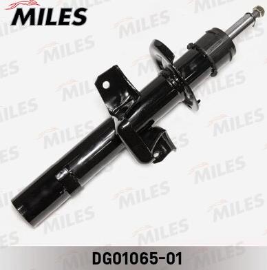 Miles DG01065-01 - Shock Absorber autospares.lv