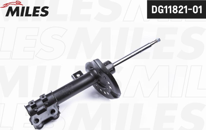 Miles DG11821-01 - Shock Absorber autospares.lv