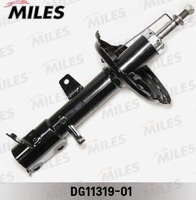 Miles DG11319-01 - Shock Absorber autospares.lv