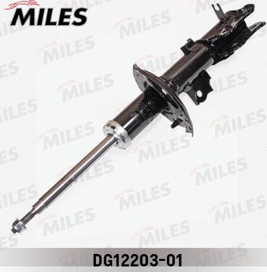 Miles DG12203-01 - Shock Absorber autospares.lv