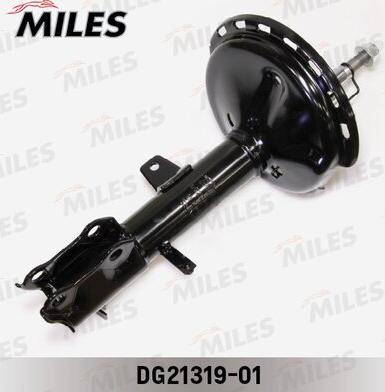 Miles DG21319-01 - Shock Absorber autospares.lv