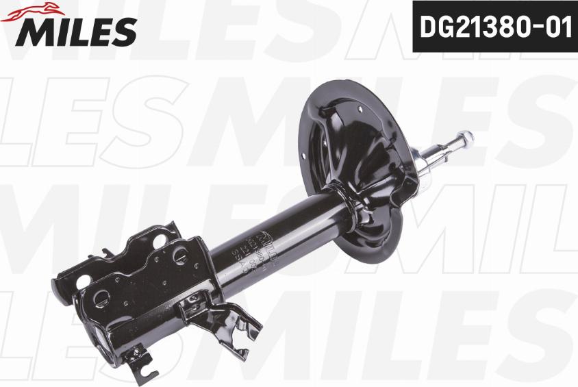 Miles DG21380-01 - Shock Absorber autospares.lv